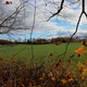 Illustration for article titled 76 Stunning Photos Of Fall Leaves